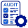 audit icon