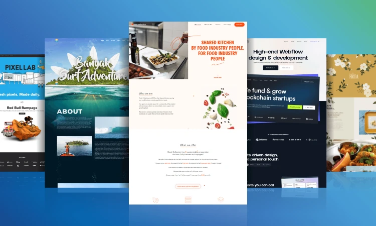Essential Features of a High-Performing Business Website