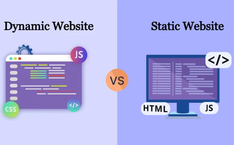 Static vs. Dynamic Websites: Which One is Right for You?