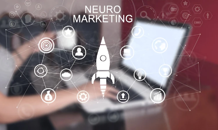 Neuromarketing Secrets Things You Didn’t Know Your Website Was Missing